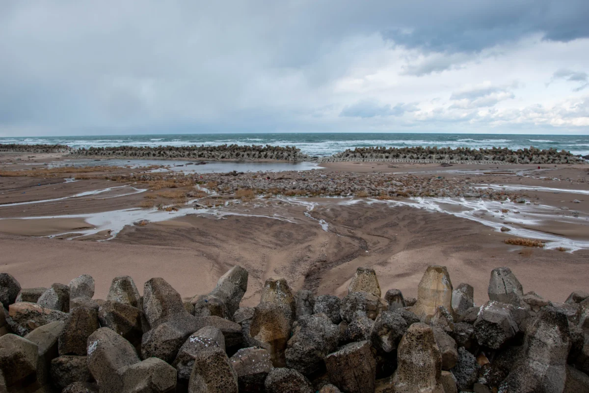 隆起によって、海岸線がこんなに遠くなってしまった