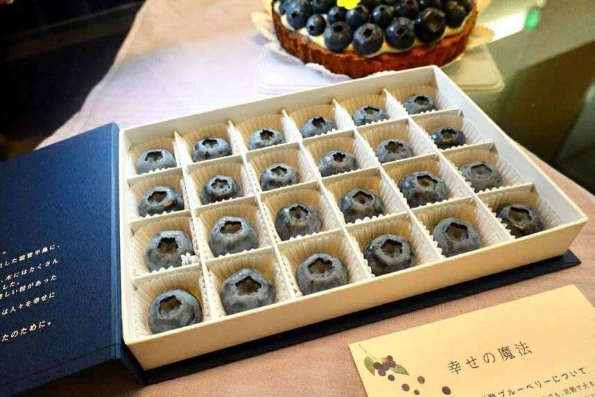 大粒のブルーベリー「NotoBlue(能登ブルー)」