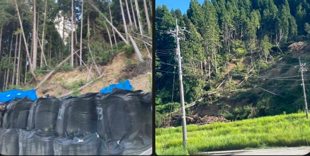 “焼塩エイミー” Vol.2～全世代が主人公＆ワクワクする地域を目指し「若者×高齢者」の力で能登に新たな事業を‼　能登の里山にも、放置林が目立つ（撮影：2025年夏）