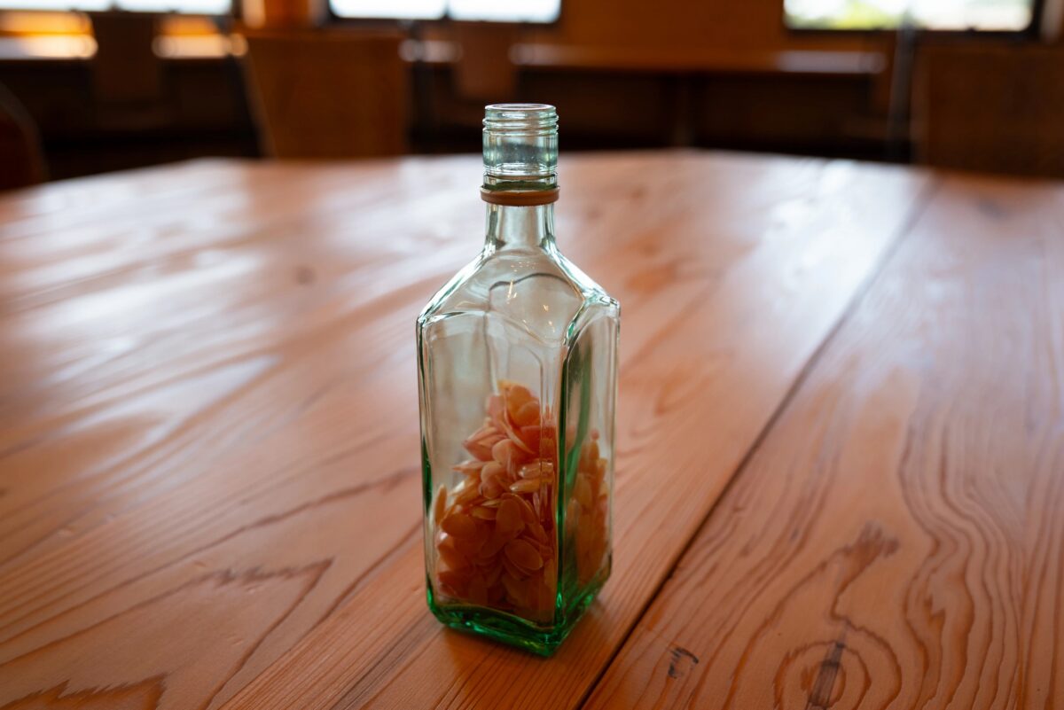 幸運を運ぶとされる桜貝が拾える。増穂浦海岸は日本三大小貝名所としても有名なのだそう