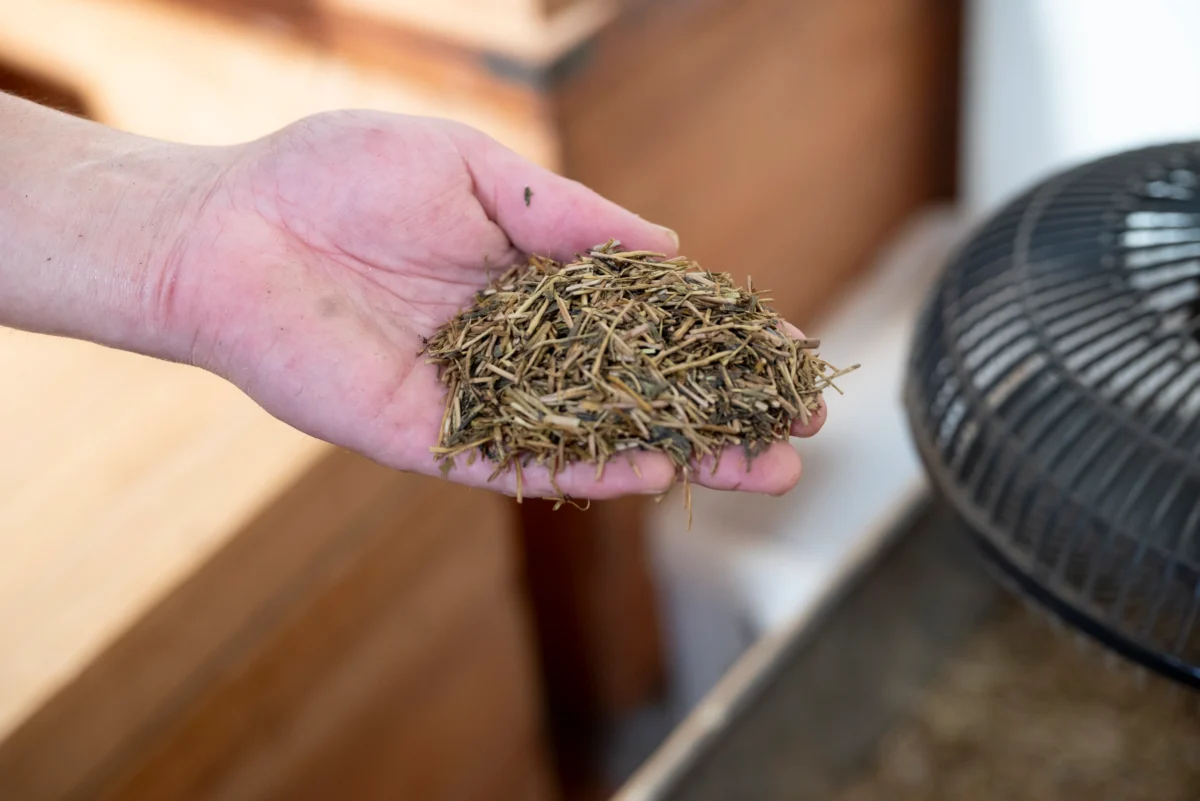 自家焙煎している田尻寅蔵商店の工場には、香ばしいお茶の香りが漂っています
