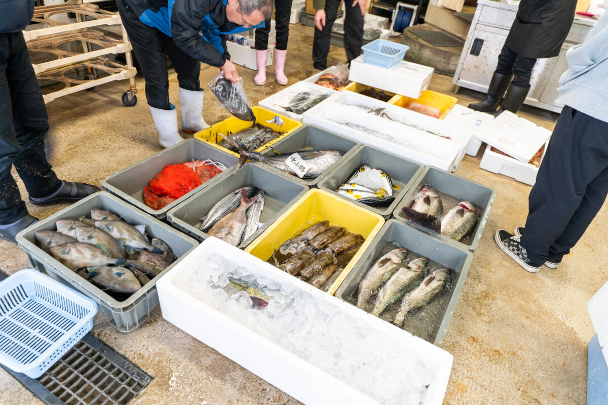 競り場から魚を運び、店に並べる