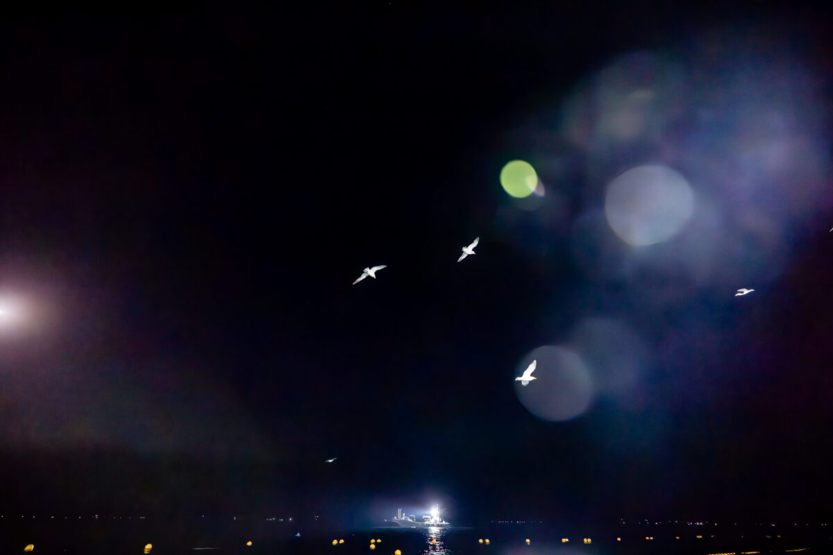 複復PJ活動事例：能登の未来を拓く「異文化」の視点　漁業改革に挑む起業家と、海外経験を持つプロボノが共創した関係人口創出プログラム