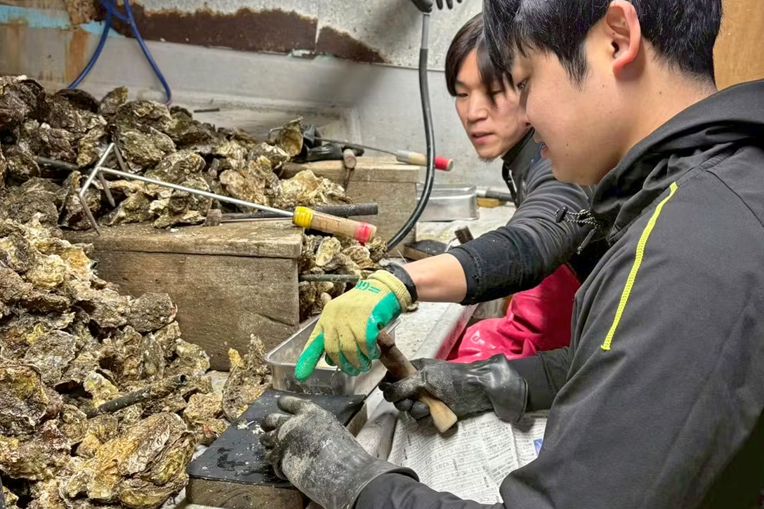 酒井さんも自ら牡蠣生産者のもとで牡蠣の殻むきを体験し、作業の繊細さ、経験の必要性を実感