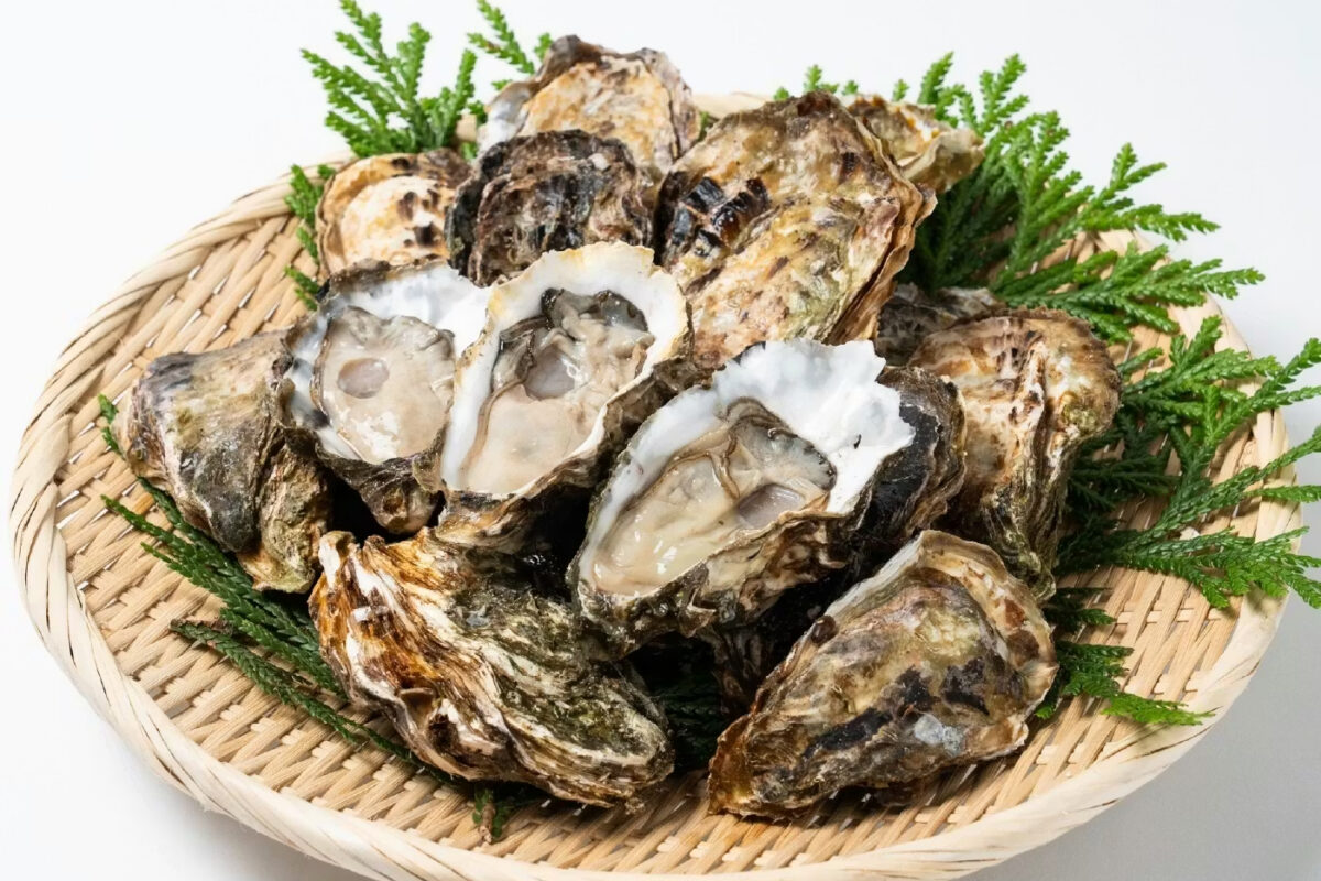 殻付きの「能登かき」