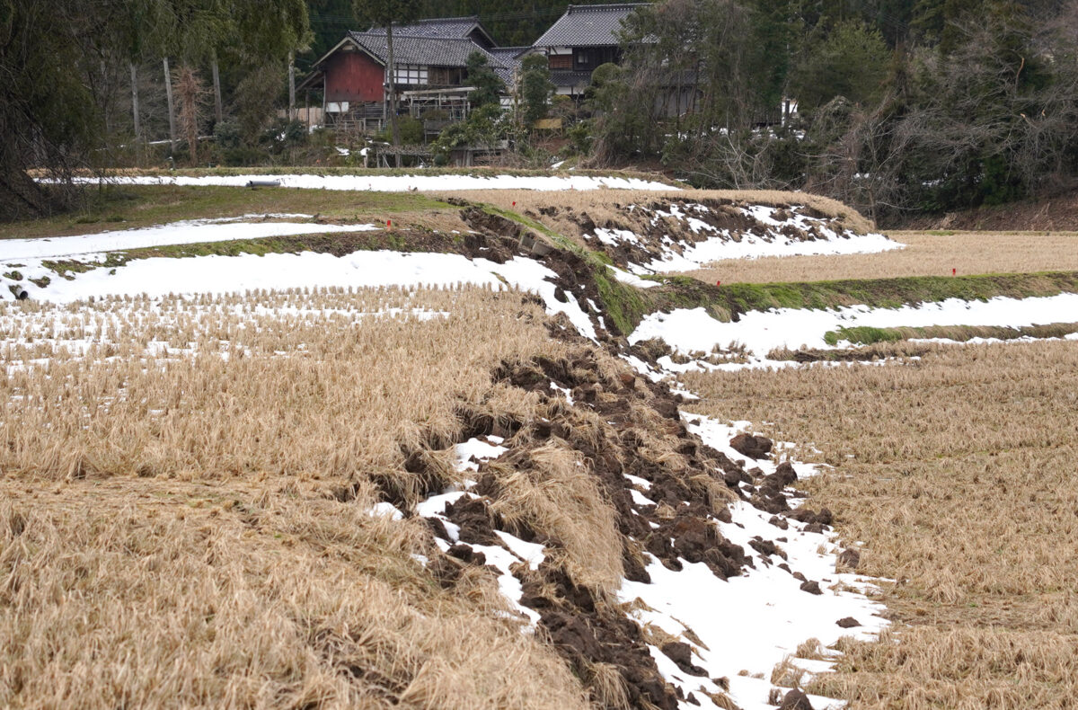 地震で2メートル近くの段差が発生した珠洲市若山町の水田（撮影：2024年2月　関口威人）