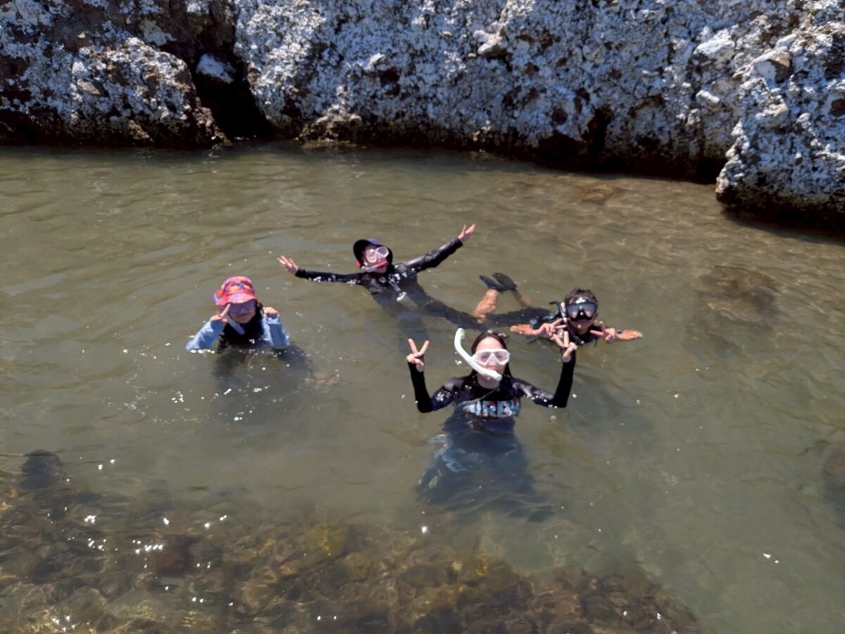大好評だった、「親子海遊びイベント」(2025年7月)