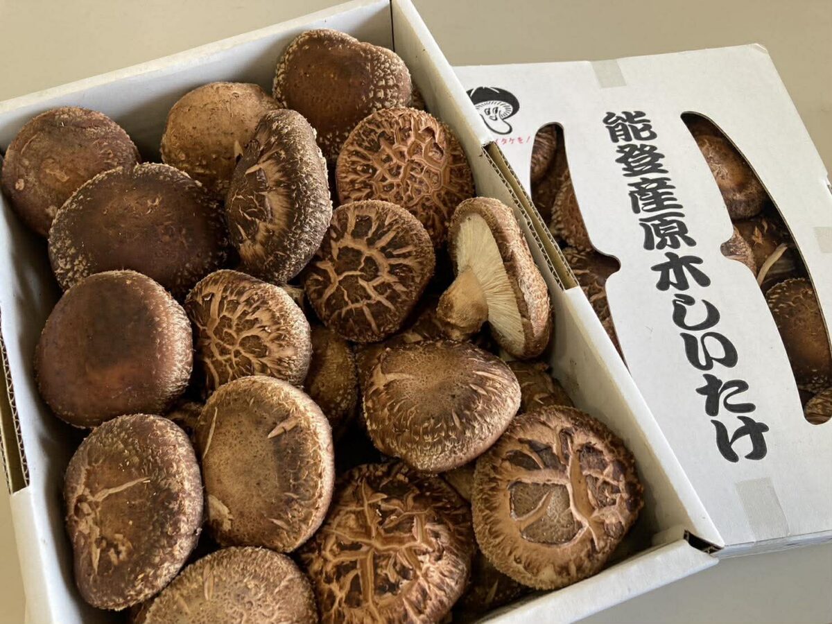 能登の原木しいたけは、地元の人にも大人気