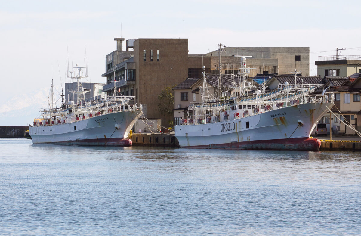 “能登里海教育研究所”がある能登町の小木港。イカ釣り漁船の奥の茶色い建物(石川県漁業協同組合小木支所)の3階の一室に事務局がある(撮影:2026年2月 関口威人)