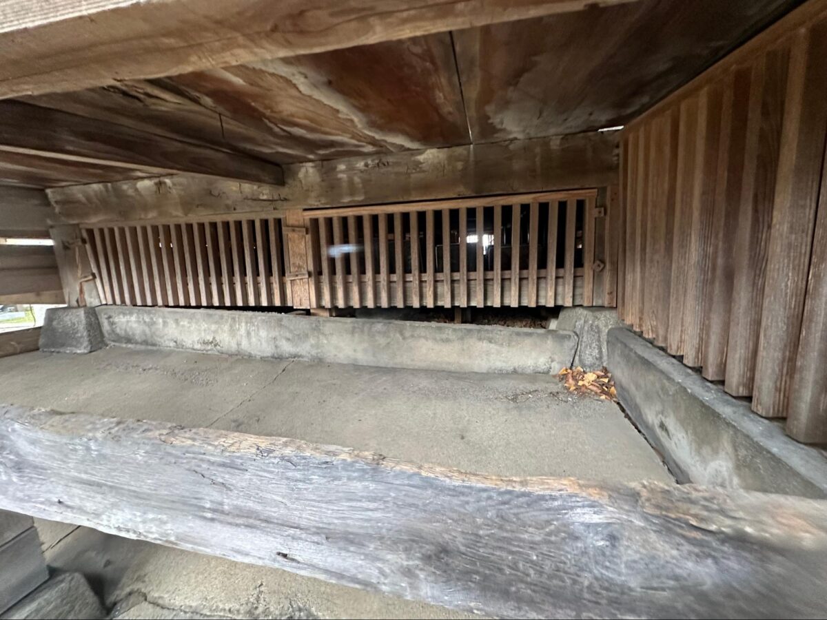 沈下した拝殿の床下（画像提供：丸岡俊宏さん）