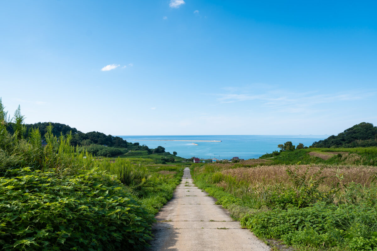 浦出さんのご実家近くの景色。住宅があったが、地震で解体になり、空き地が広がっている