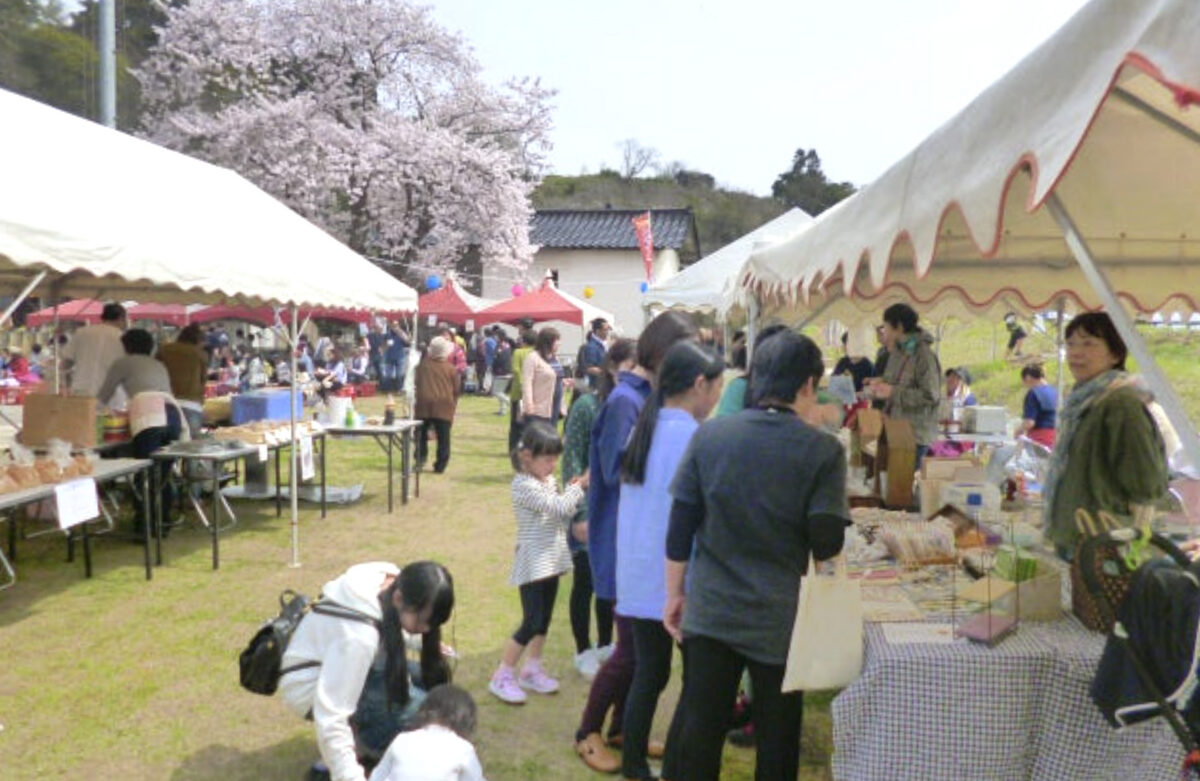 建て替え前の公民館があった時代の「波並で花見」の様子(撮影:2016年4月 三波公民館提供)