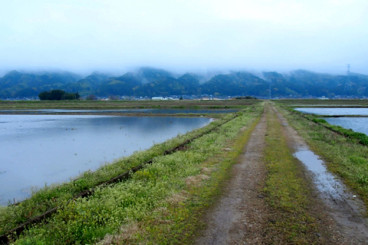 曇り空の灰色も青空も、どちらも美しい能登の風景