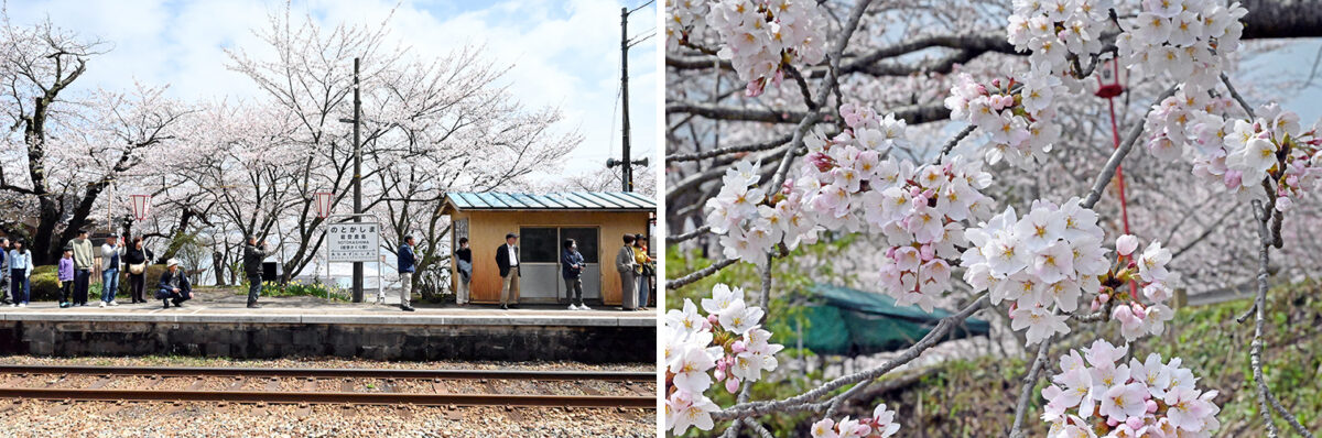 2026年4月、能登鹿島駅(能登さくら駅)で撮影