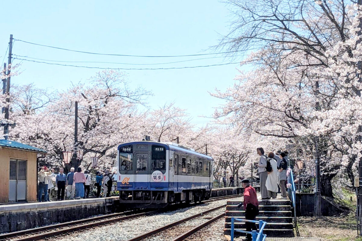 運行再開時には桜のモチーフに「がんばろう能登」のヘッドマークを掲げて運行、能登鹿島駅の満開の桜の下には地元の方々の笑顔も咲いた